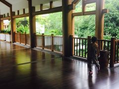 -广悦华阳朔河畔度假酒店(十里画廊遇龙河店)
