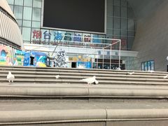 -烟台海昌鲸鲨海洋公园