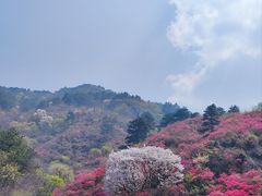 -木兰云雾山