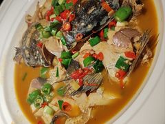 -7017浙菜•建德味(中财店)