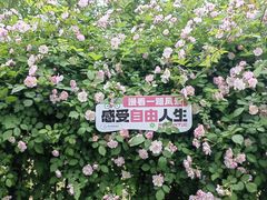 -南京国际青年文化中心