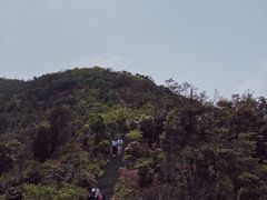 -梧桐山风景名胜区