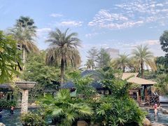 -厦门日月谷温泉渡假村