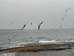 -日照灯塔风景区