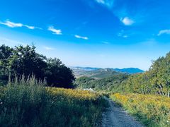 -中旅松花湖滑雪场
