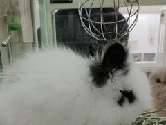 -龙猫仔乐园(惠福东路店)