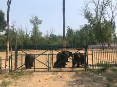 -秦皇岛野生动物园
