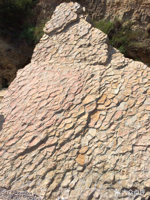 大连金石滩滨海国家地质公园iphone_upload_pic图片