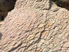 iphone_upload_pic-大连金石滩滨海国家地质公园