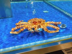 -盒马鲜生(顺义店)