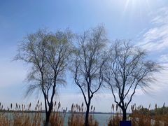 -漕湖湿地公园