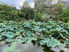 -广州神农草堂中医药博物馆