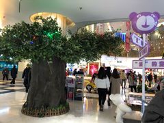 -北京华联购物中心(同成街店)