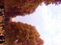 -河南省黄河迎宾馆