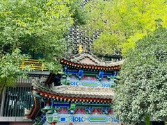 -罔极寺