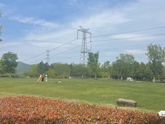 -长田漾湿地公园