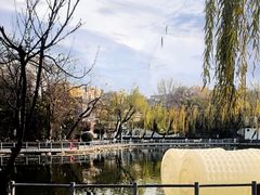 -莲湖公园