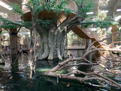 -南宫五洲植物乐园