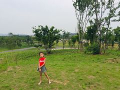 -盘龙城国家考古遗址公园