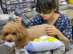 -爱侣宠医·鹦鹉专科·小型哺乳类·异宠专科(灵石路店)