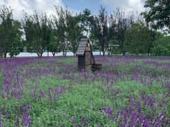 -上海山野camping·户外天幕烧烤·团建拓展营地