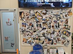 -芭比堂动物医院·24小时·眼科中心(深圳中心)