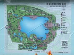 -莲花池公园