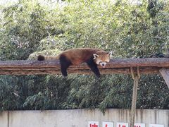 -石家庄市动物园