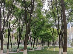 -后襄河公园