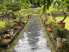 -庐山风景区花径公园