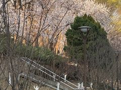 -元大都城垣遗址公园