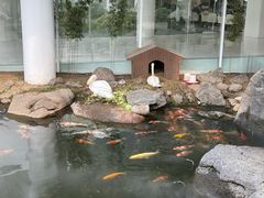 -罗红摄影艺术馆