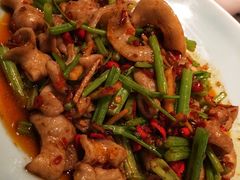 生爆仔姜肥肠-雀蓝川菜(奥体广场店)