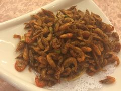 河虾-围龙屋客家食府(福田店)