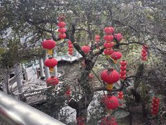 -桃园盛宴·岭南粤菜·手工茶点(南庄店)