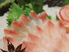 -千寻本居