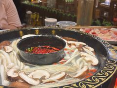 -成渝龙火锅(都江堰店)