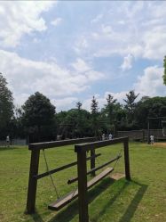 -长沙小顽国景区
