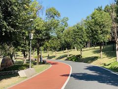 -牛岗山公园