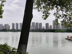 -洋湖国家湿地公园