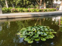 -常州古运河南大街文化旅游区-人民公园