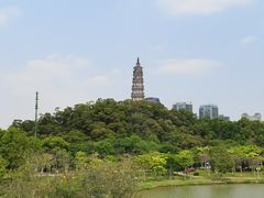 -顺峰山公园