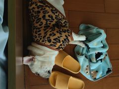-老兵牛蹄店(下沙店)