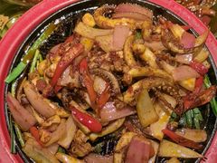 -馋嘴猫北京食堂·烤鸭·宵夜(亚运村店)