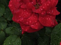 -大望路(地铁站)