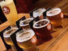 拳击猫啤酒壶-Boxing Cat Brewery拳击猫精酿啤酒馆(永福店)