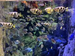 -成都浩海立方海洋公园