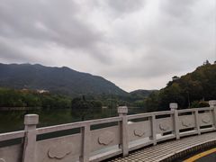 -深圳仙湖植物园