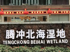 -腾冲北海湿地