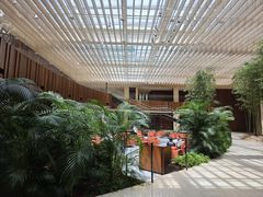 -北京望京凯悦酒店The Lounge大堂酒廊